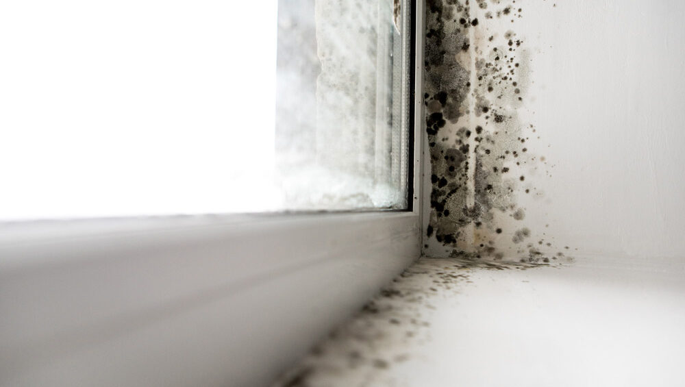 Mold around a window corner
