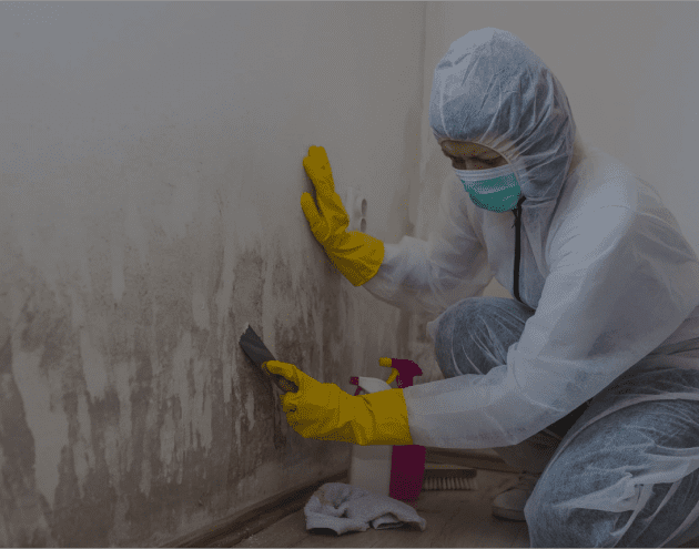 Thermal imaging service image