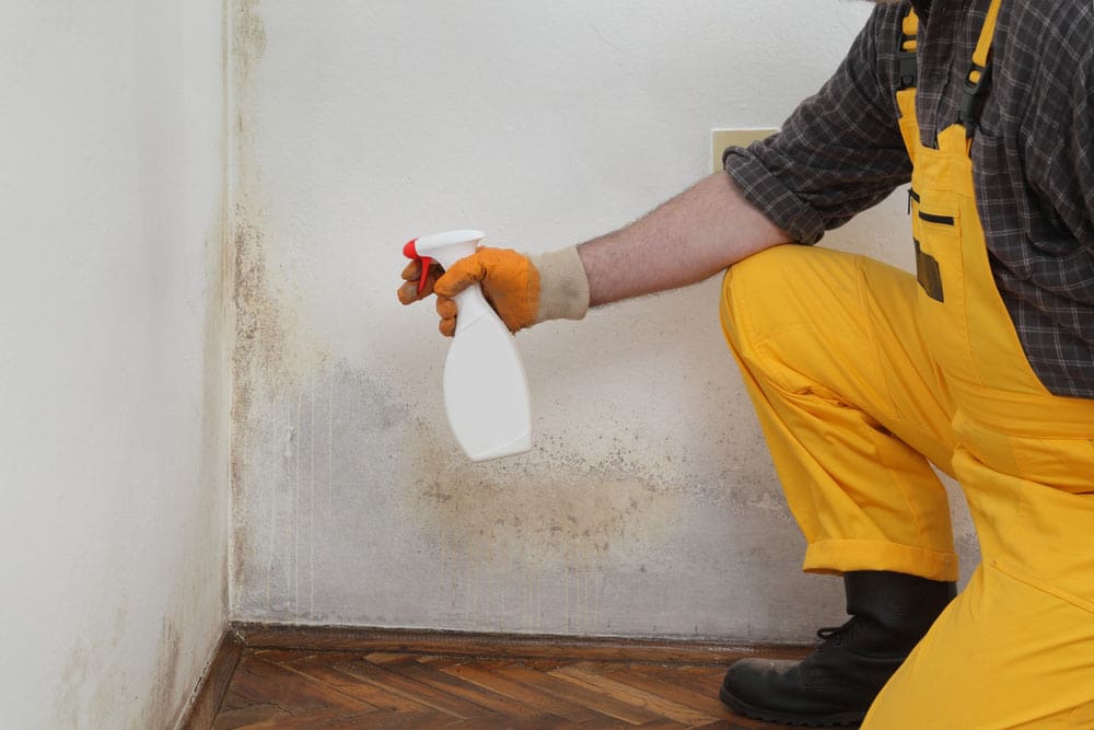 A man uses a cleaning solution to help remove mold from a wall.