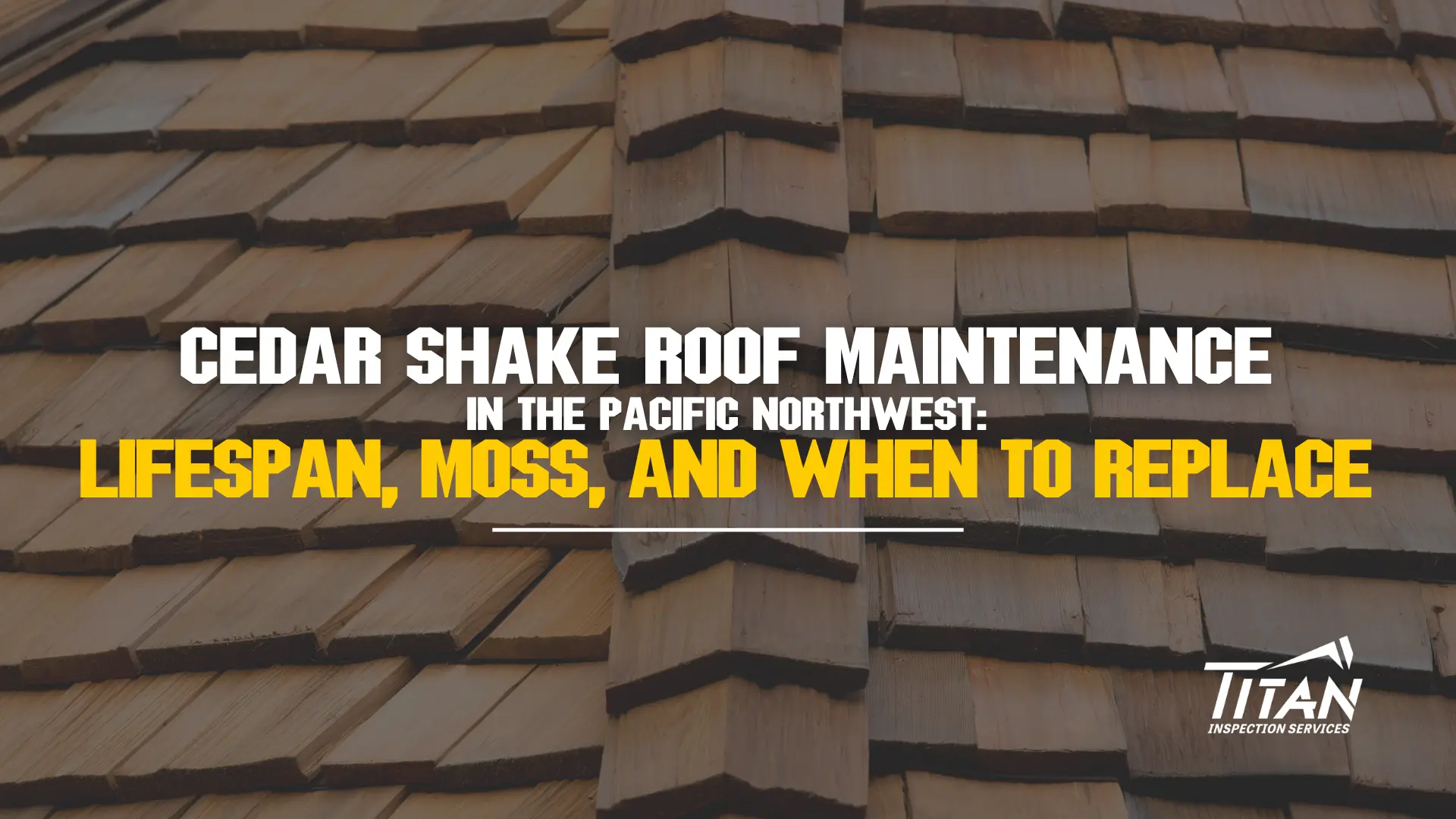 Cedar Shake Roof Maintenance in the Pacific Northwest: Lifespan, Moss, and When to Replace Featured Image